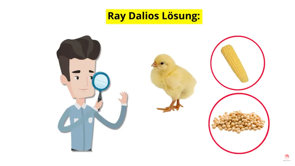 Ray Dalios Lösung